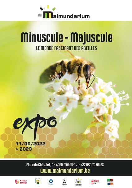 “Minuscule Majuscule” , le monde fascinant des abeilles